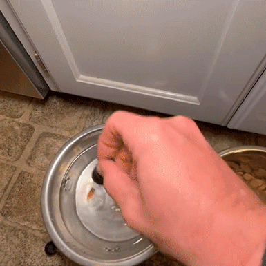 Mullend Yeast Infection Relief For Dogs image Gentle whitening