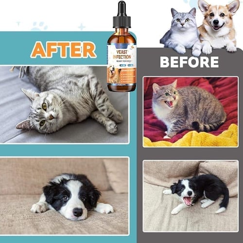 Mullend Yeast Infection Relief For Dogs image Gentle whitening